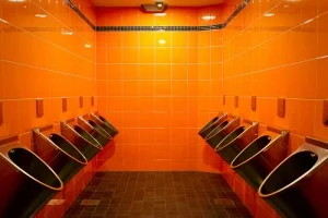découvrez comment changer vos wc facilement avec notre guide simple et rapide, pour des travaux sanitaires réussis sans complications.