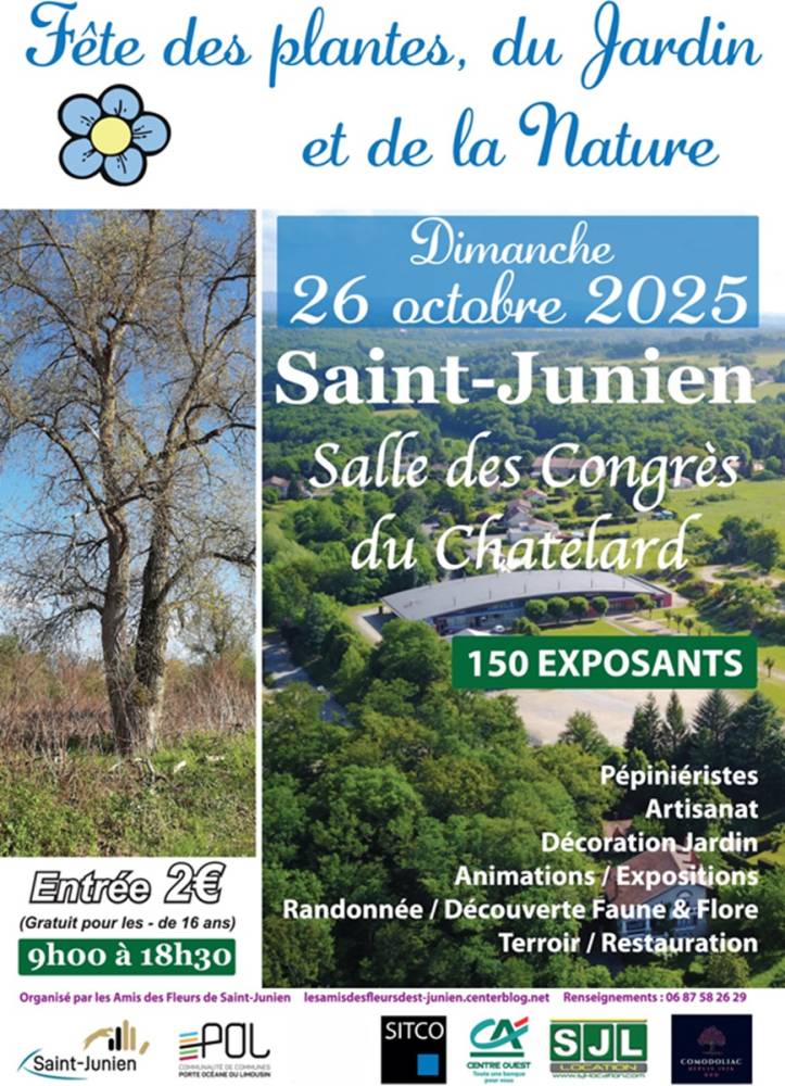découvrez nos offres de location de plantes pour 2025, alliant design et nature pour vos espaces professionnels et événements.