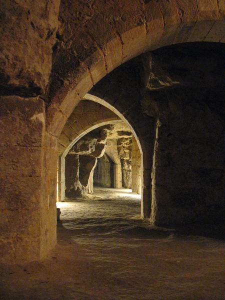 découvrez les trésors cachés de pontoise exotique, un lieu unique où culture, nature et aventure vous attendent pour une exploration inoubliable.