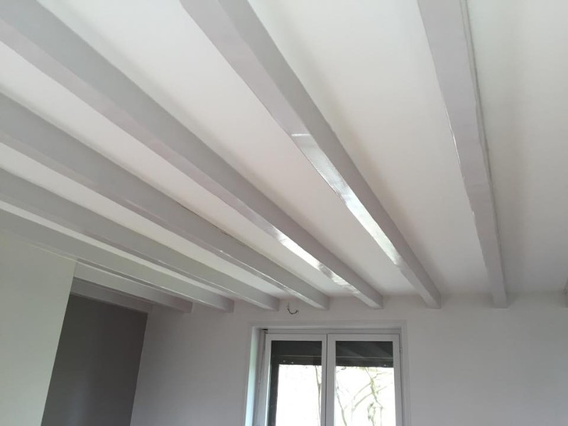 découvrez les prix pour la peinture de plafond et poutres. obtenez des conseils sur les tarifs moyens, les matériaux utilisés et comment optimiser votre budget rénovation.