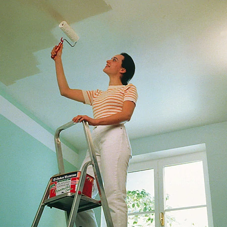 découvrez nos solutions professionnelles pour la rénovation de votre plafond, alliant qualité, esthétique et durabilité pour transformer votre intérieur.