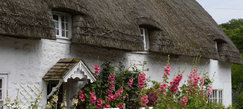 découvrez nos conseils pour rénover une maison ancienne en terre, alliant respect des matériaux naturels et techniques modernes pour un habitat sain et durable.